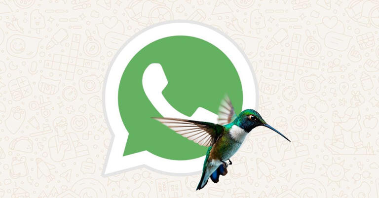 Cómo Activar el Modo Colibrí en WhatsApp: Personalización Visual para tu Dispositivo Android